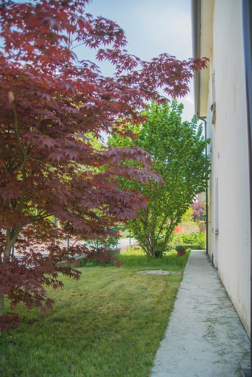 A Due Passi Dal Botteniga Treviso Exterior photo